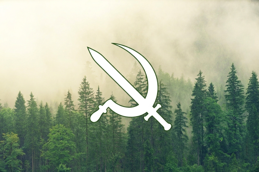 forest